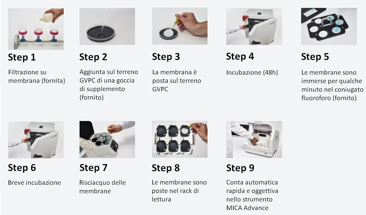 MICA Advance Legionella - Procedimento schematico di analisi